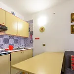Orsa Maggiore *